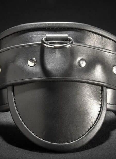 Mr. S Leather Heavy Duty Posture Collar