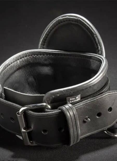 Mr. S Leather Heavy Duty Posture Collar