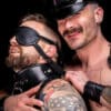Mr. S Leather Simple Posture Collar
