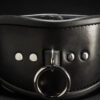 Mr. S Leather Simple Posture Collar