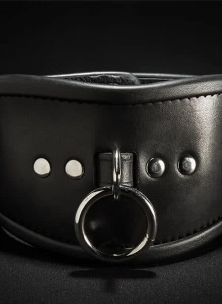Mr. S Leather Simple Posture Collar
