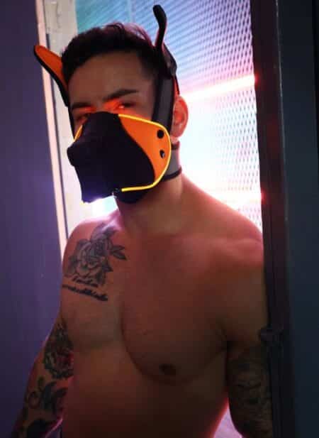 Breedwell Poundtownpup mask with LED illumination - Image 14