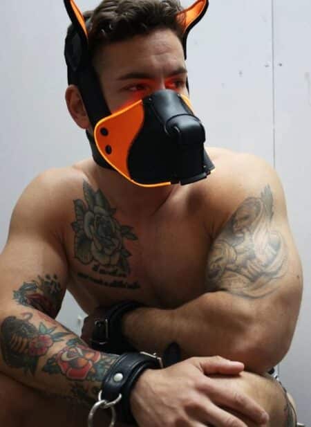 Breedwell Poundtownpup mask with LED illumination - Image 11