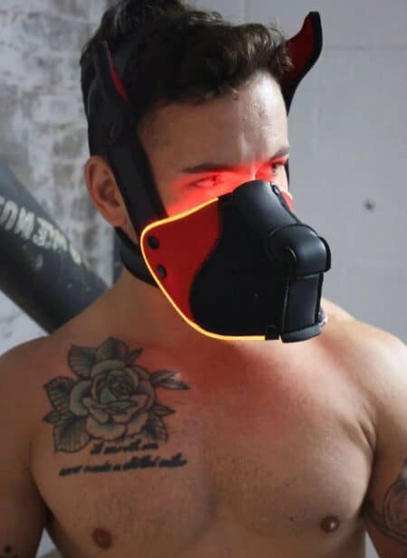 Breedwell Poundtownpup mask with LED illumination - Image 10