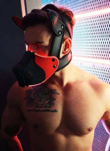 Breedwell Poundtownpup mask with LED illumination - Image 8