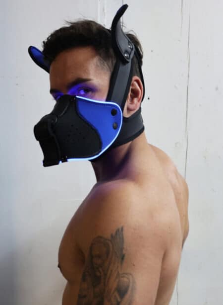 Breedwell Poundtownpup mask with LED illuminationk Black / Blue