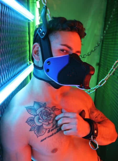 Breedwell Poundtownpup mask with LED illuminationk Black / Blue