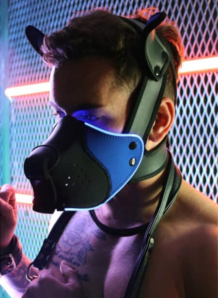 Breedwell Poundtownpup mask with LED illuminationk Black / Blue