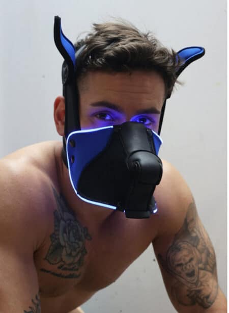 Breedwell Poundtownpup mask with LED illuminationk Black / Blue