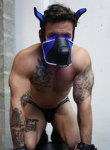 Breedwell Poundtownpup mask with LED illuminationk Black / Blue