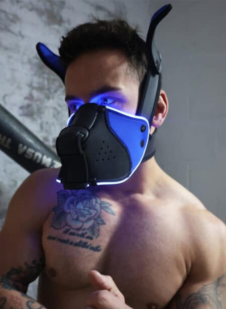 Breedwell Poundtownpup mask with LED illuminationk Black / Blue