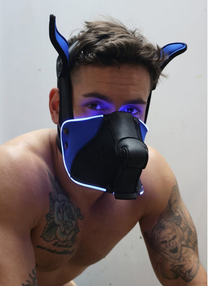 Breedwell Poundtownpup mask with LED illuminationk Black / Blue