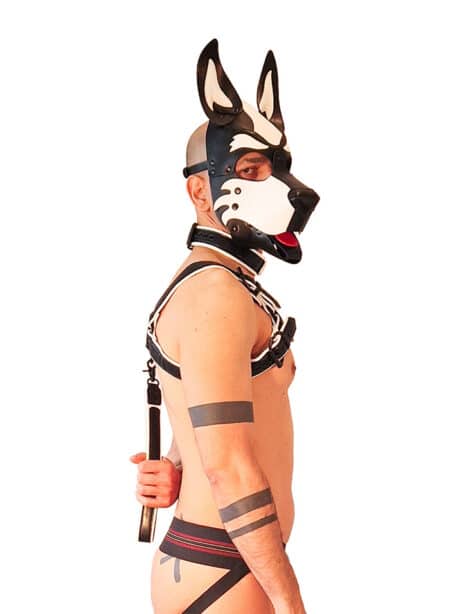 Brutus Vegan Bulldog Harness