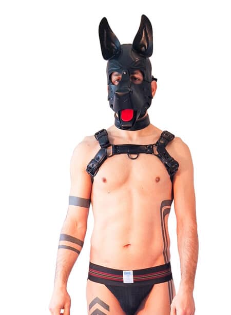 Brutus Vegan Bulldog Harness