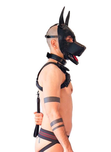Brutus Vegan Bulldog Harness