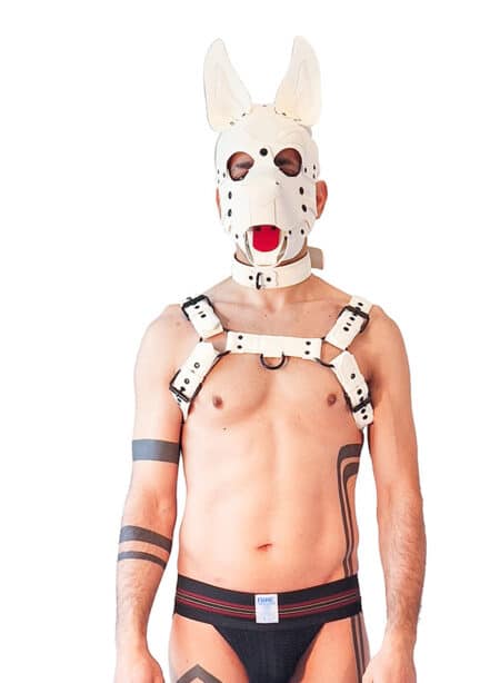 Brutus Vegan Bulldog Harness