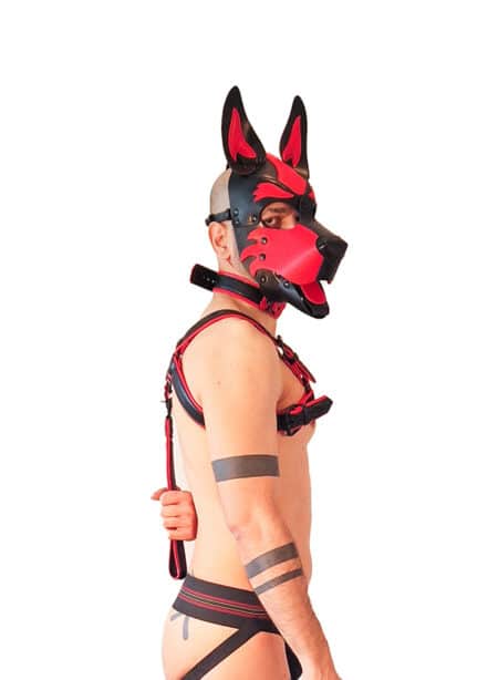 Brutus Vegan Bulldog Harness