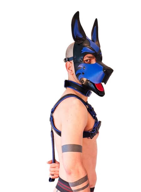 Brutus Vegan Bulldog Harness