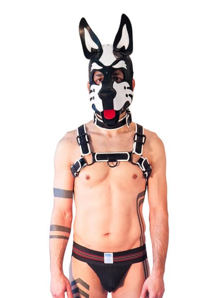 Brutus Vegan Leather Pup Hood