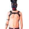 Brutus Vegan Leather Pup Hood