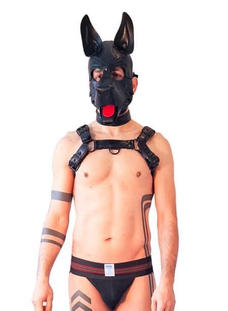 Brutus Vegan Leather Pup Hood