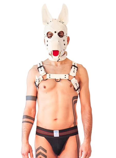 Brutus Vegan Leather Pup Hood