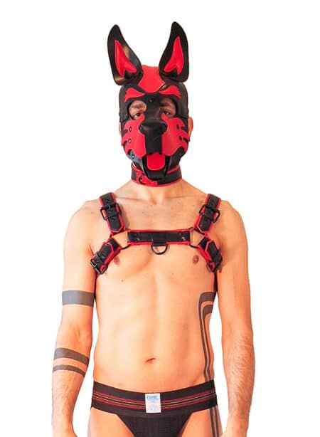 Brutus Vegan Leather Pup Hood