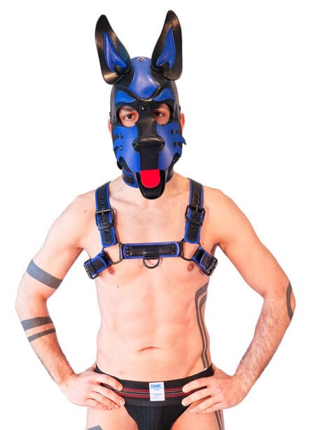 Brutus Vegan Leather Pup Hood