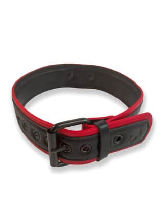Brutus Vegan Leather Puppy Collar