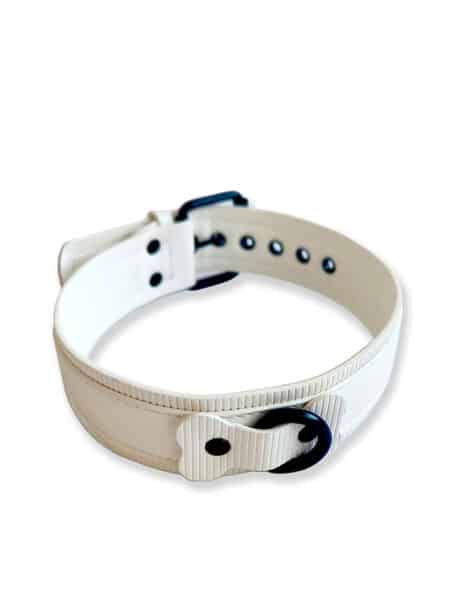 Brutus Vegan Leather Puppy Collar