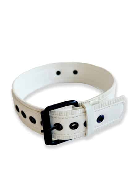Brutus Vegan Leather Puppy Collar