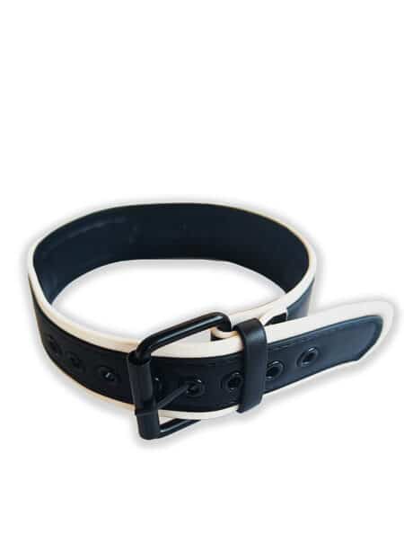 Brutus Vegan Leather Puppy Collar