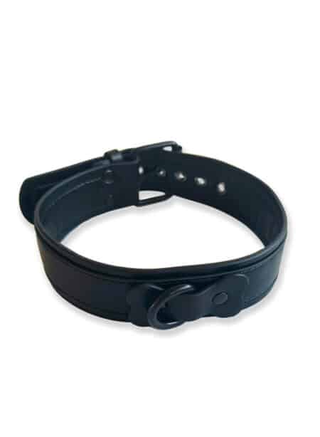 Brutus Vegan Leather Puppy Collar