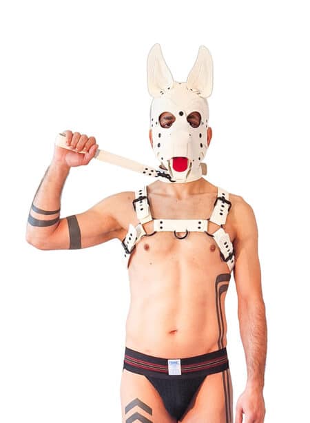 Brutus Vegan Leather Short Pup Leash