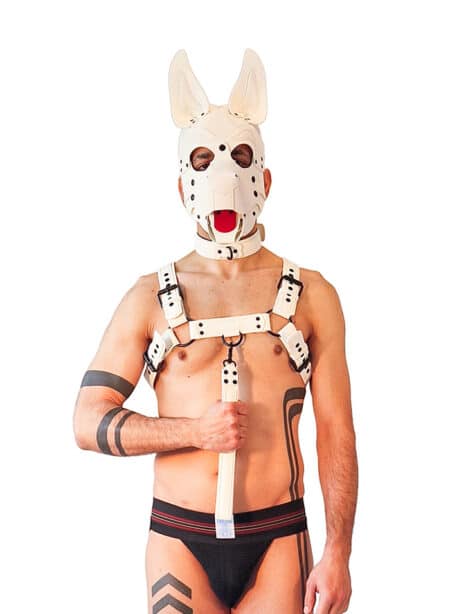 Brutus Vegan Leather Short Pup Leash