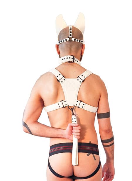 Brutus Vegan Leather Short Pup Leash