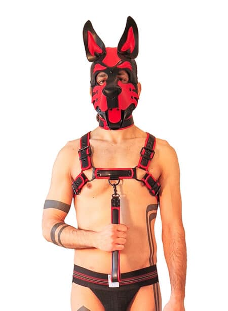 Brutus Vegan Leather Short Pup Leash