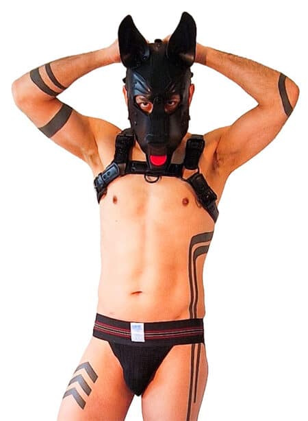 Brutus Vegan Puppy Harness