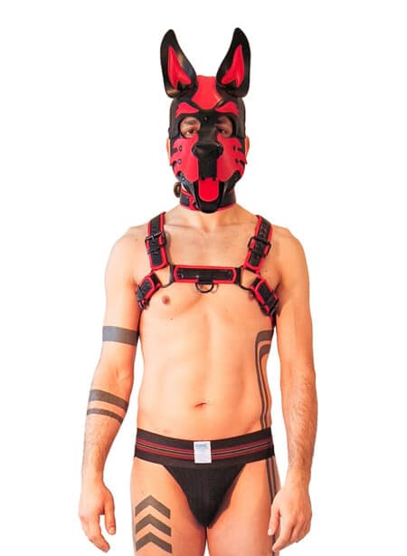 Brutus Vegan Puppy Harness