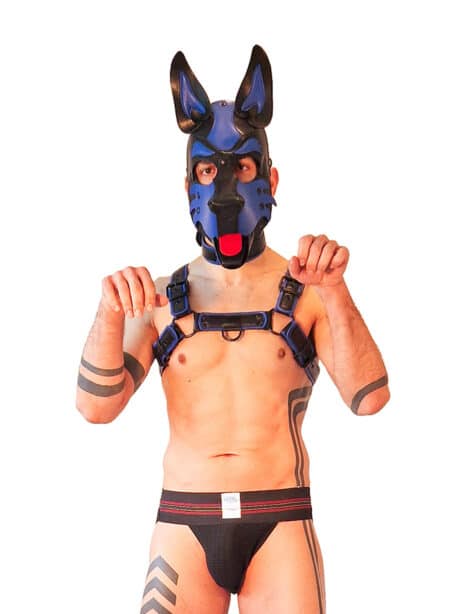 Brutus Vegan Puppy Harness
