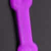 JetPup Chew Toy Bone Multiple Colors