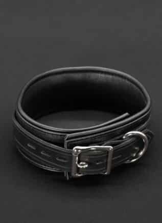 Mr. S Leather Boy Collar