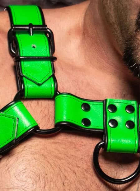 Mr. S Leather Dark Room Bulldog Harness Lime