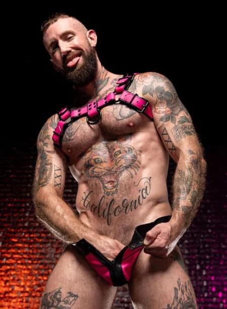 Mr. S Leather Dark Room Bulldog Harness Pink