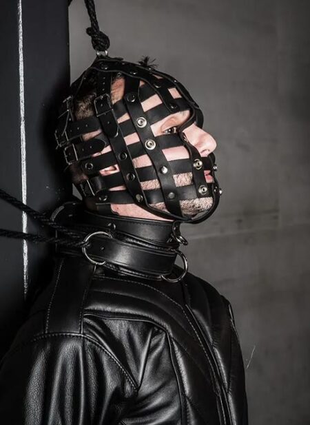 Mr. S Leather Fetters Strap Face Cage