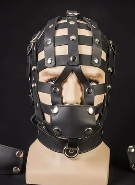 Mr. S Leather Fetters Strap Face Cage