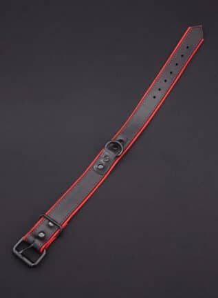 Mr. S Leather Hardline Collar Red