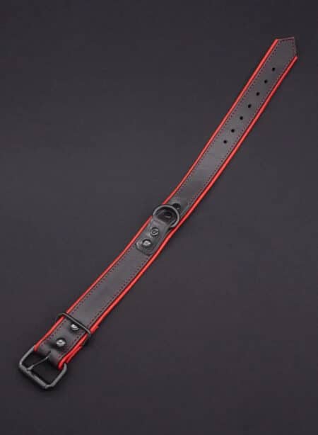 Mr. S Leather Hardline Collar Red