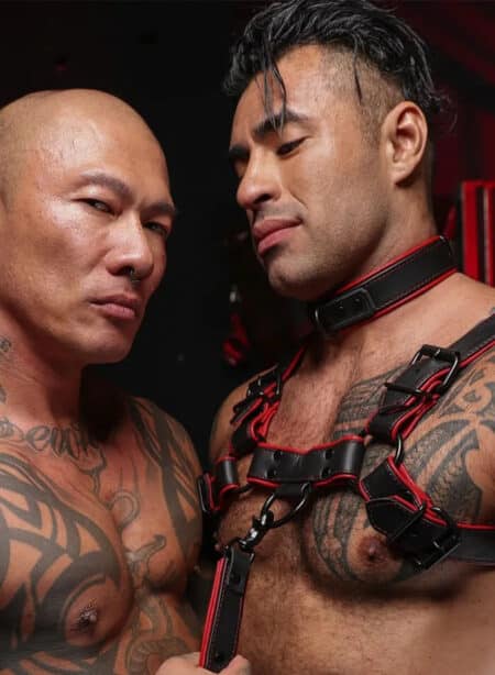 Mr. S Leather Hardline Collar Red