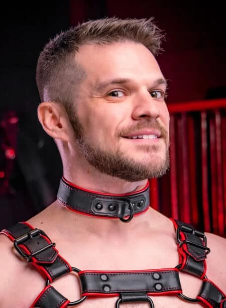 Mr. S Leather Hardline Collar Red